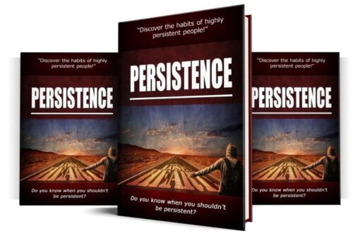 How to develop persistence