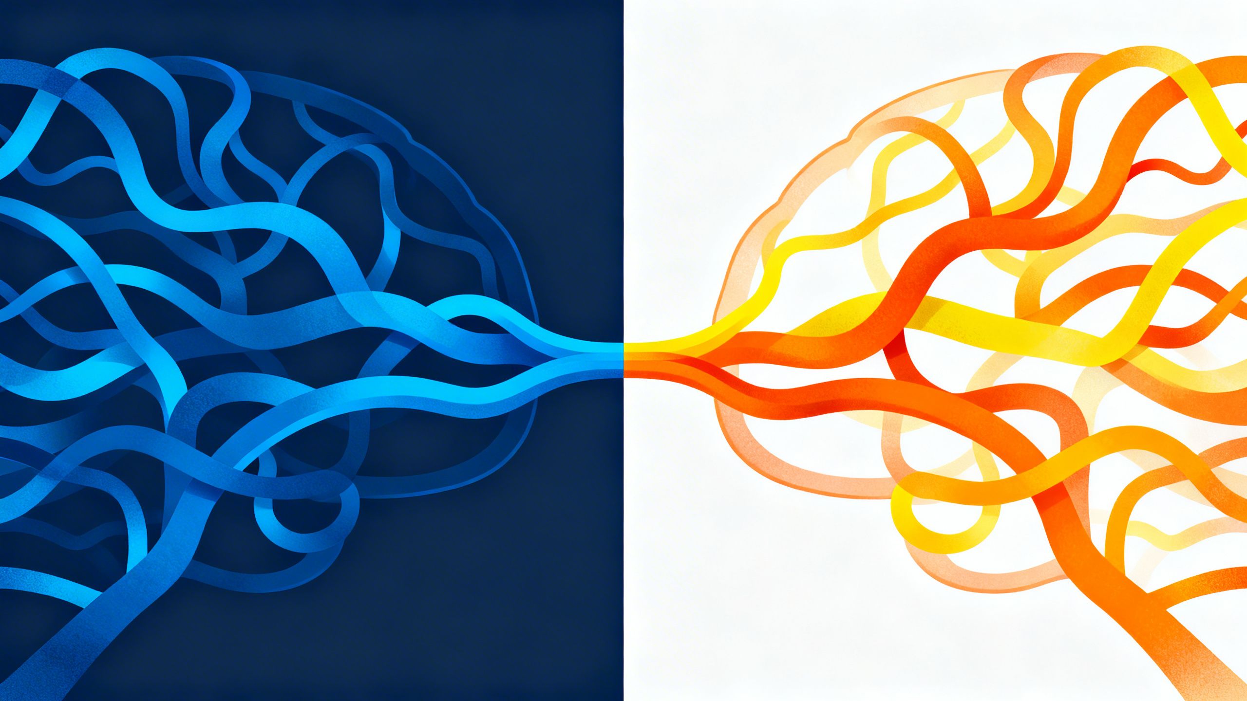 Abstract brain pathways representing serotonin and norepinephrine/dopamine interaction.