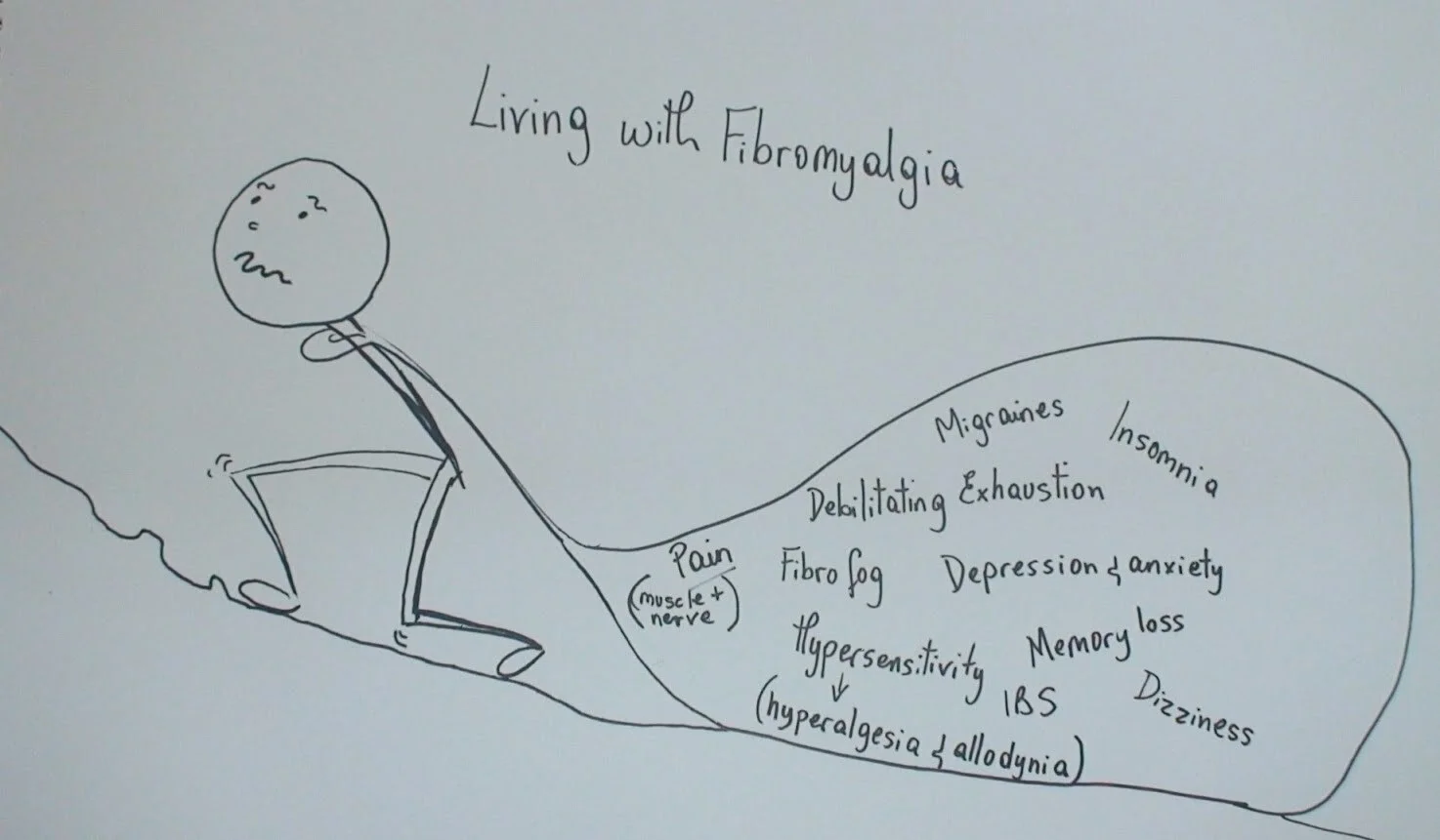 fibro fibromyalgia lyme