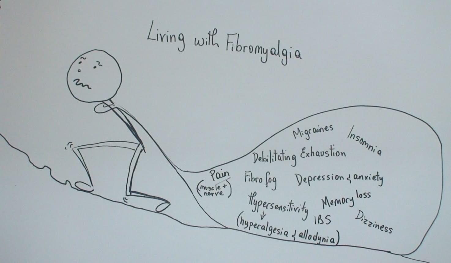 fibro fibromyalgia lyme