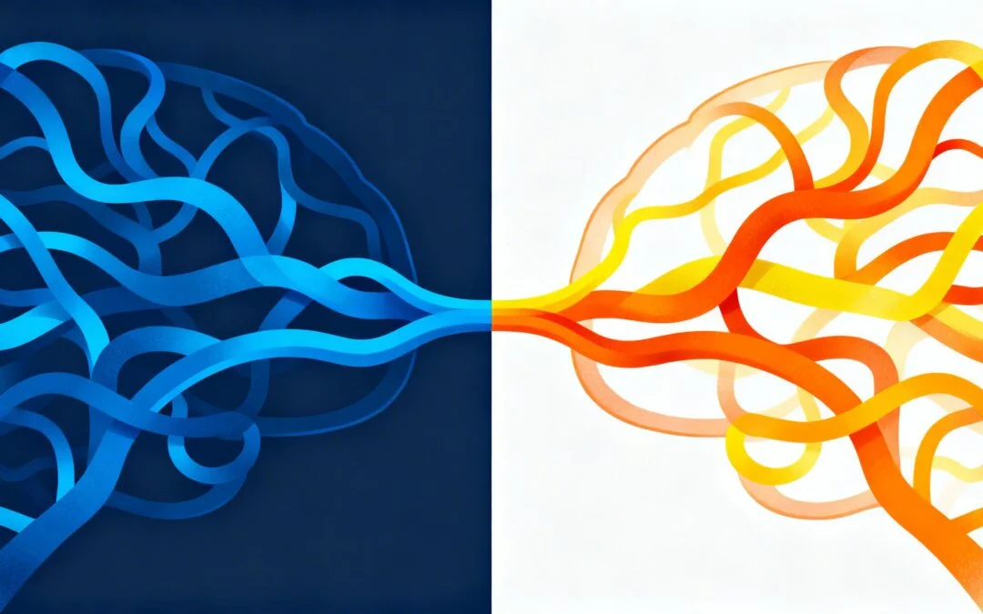 Abstract brain pathways representing serotonin and norepinephrine/dopamine interaction.